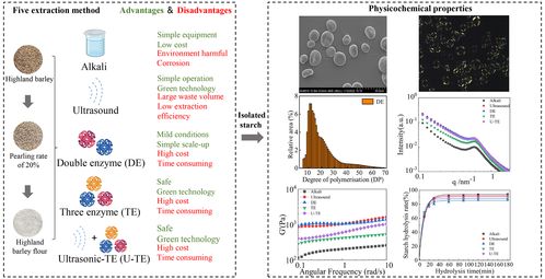 不同提取方式對青稞淀粉結(jié)構(gòu)的影響解析